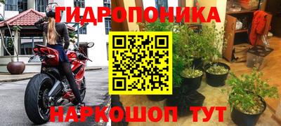 ГАЛЛЮЦИНОГЕННЫЕ ГРИБЫ Ставрополь