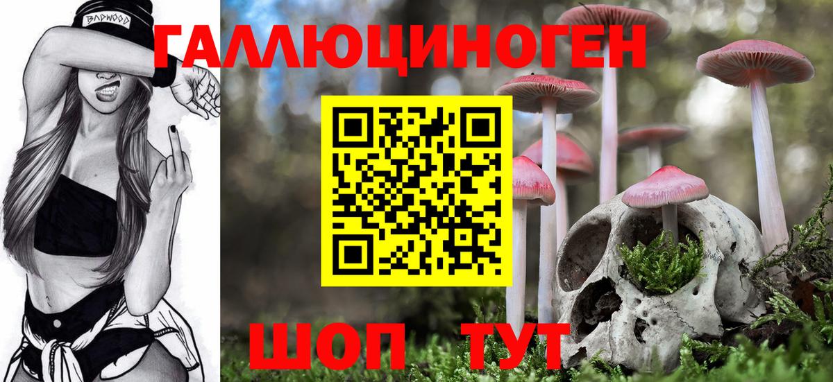 Галлюциногенные грибы Psilocybe  Вход с VPN  Ногинск 